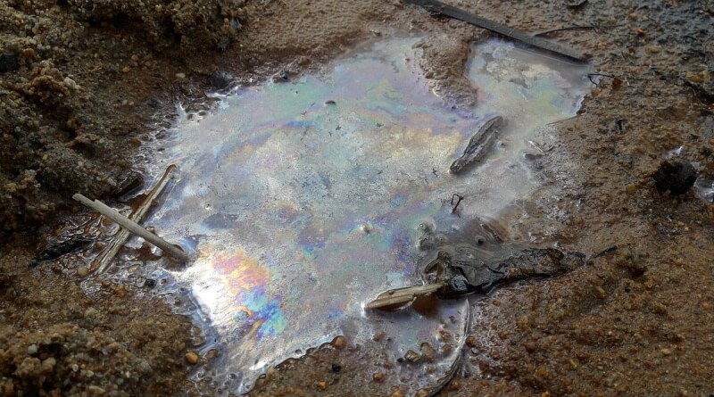 Čištění Boleveckého rybníka