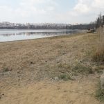 Čištění Boleveckého rybníka