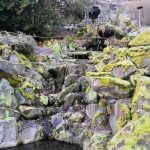 Mattoniho areál v Kyselce