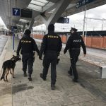 Policejní akce v Plzni