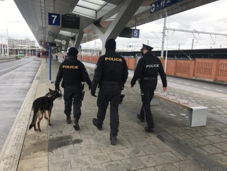 Policejní akce v Plzni