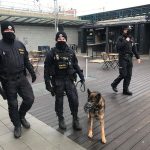Policejní akce v Plzni