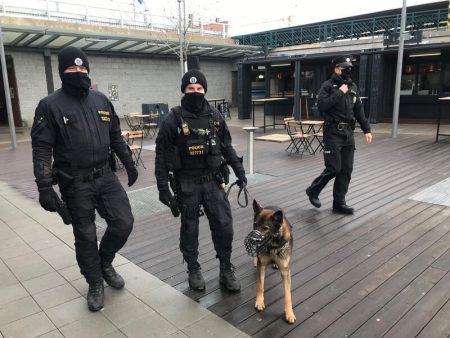 Policejní akce v Plzni