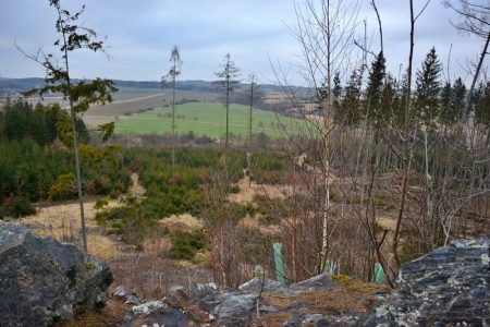 Rohatá skála u Blovic