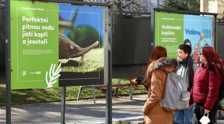 Výstava Zelené město