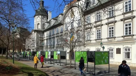 Výstava Zelené město