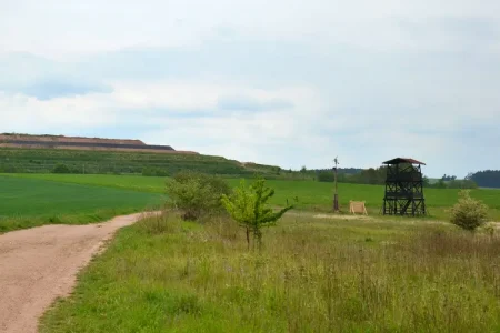 Hornictví ve Zbůchu