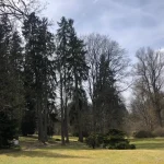 Konstantinovy Lázně