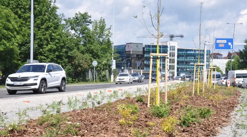 Zeleň v Tyršově ulici