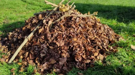 Zimoviště pro ježky