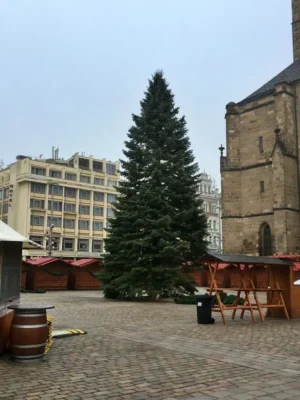 Vánoční strom a trhy