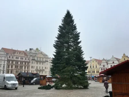 Vánoční strom a trhy