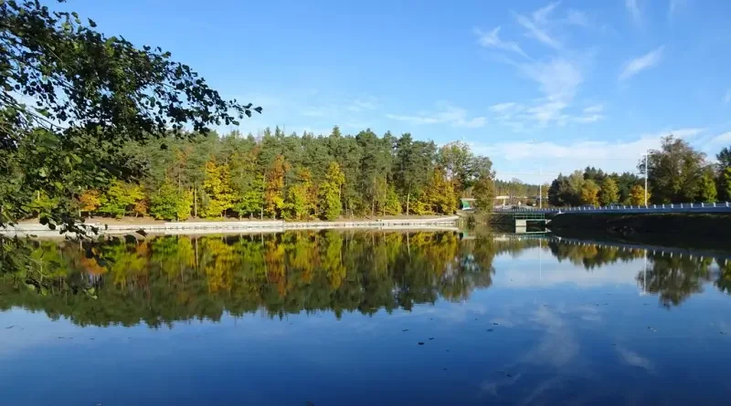 Třemošenský rybník