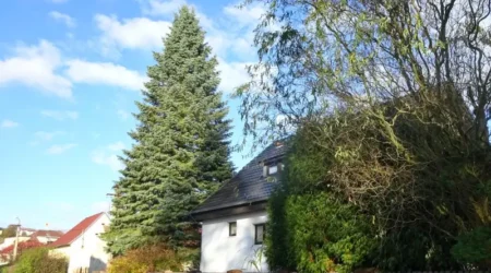 Vánoční strom 2022 Plzeň