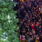 Vánoční strom Plzeň 2022