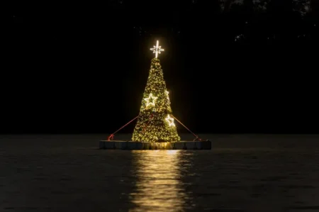 Stromek na Borské přehradě