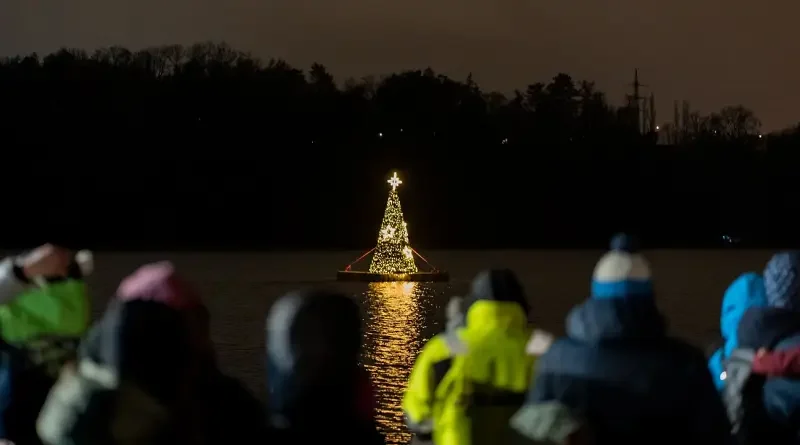 Stromek na Borské přehradě