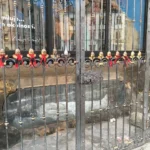 Andělíčci ve flanelu