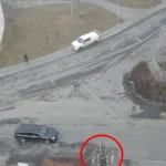 Hnízdo v Dešenicích