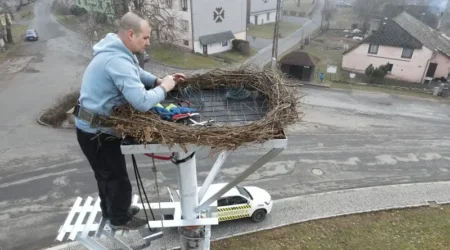 Hnízdo v Dešenicích