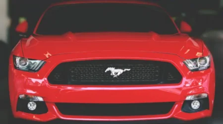 mustang
