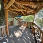 Strom jako ekosystém v Zoo Plzeň