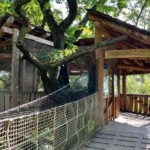 Strom jako ekosystém v Zoo Plzeň