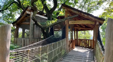 Strom jako ekosystém v Zoo Plzeň