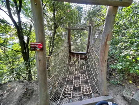 Strom jako ekosystém v Zoo Plzeň