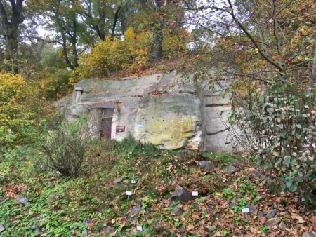 Tajemný svět v podzemí