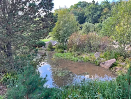 Procházka rašeliništěm v Zoo Plzeň