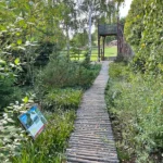 Procházka rašeliništěm v Zoo Plzeň