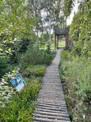 Procházka rašeliništěm v Zoo Plzeň