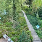 Procházka rašeliništěm v Zoo Plzeň