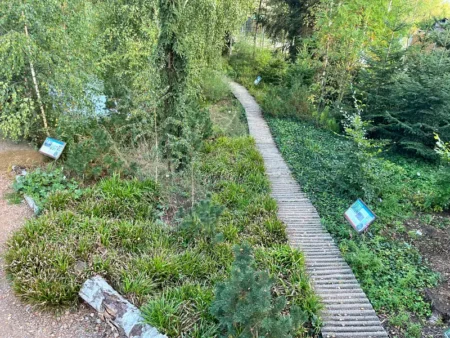 Procházka rašeliništěm v Zoo Plzeň