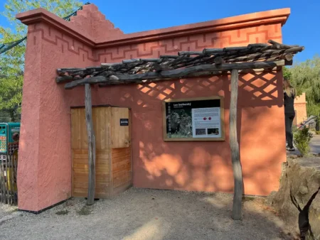 Lev-ná zkouška odvahy v Zoo Plzeň