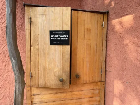 Lev-ná zkouška odvahy v Zoo Plzeň