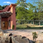 Lev-ná zkouška odvahy v Zoo Plzeň