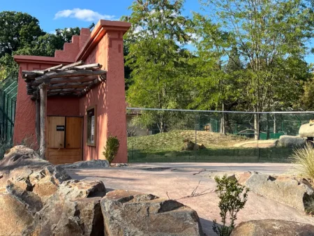 Lev-ná zkouška odvahy v Zoo Plzeň