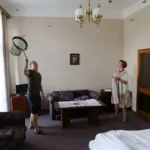 Netopýři v Hotelu