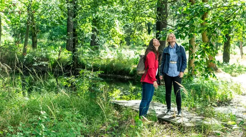 Současná podoba parku