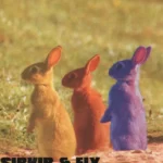 United Colours of Rabbit