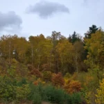 Bývalý božkovský důl Kristiánov