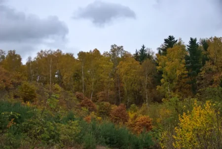 Bývalý božkovský důl Kristiánov