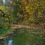 Bývalý božkovský důl Kristiánov