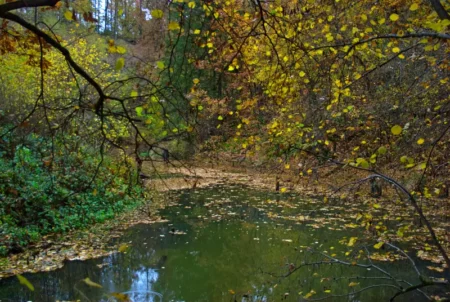 Bývalý božkovský důl Kristiánov