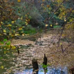 Bývalý božkovský důl Kristiánov