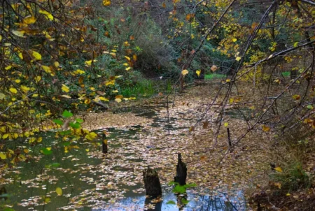 Bývalý božkovský důl Kristiánov