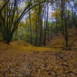 Bývalý božkovský důl Kristiánov