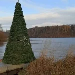 Strom na přehradě Plzeň